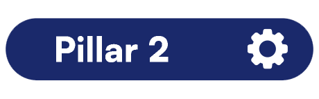 Pillar 2 - Delivery Management